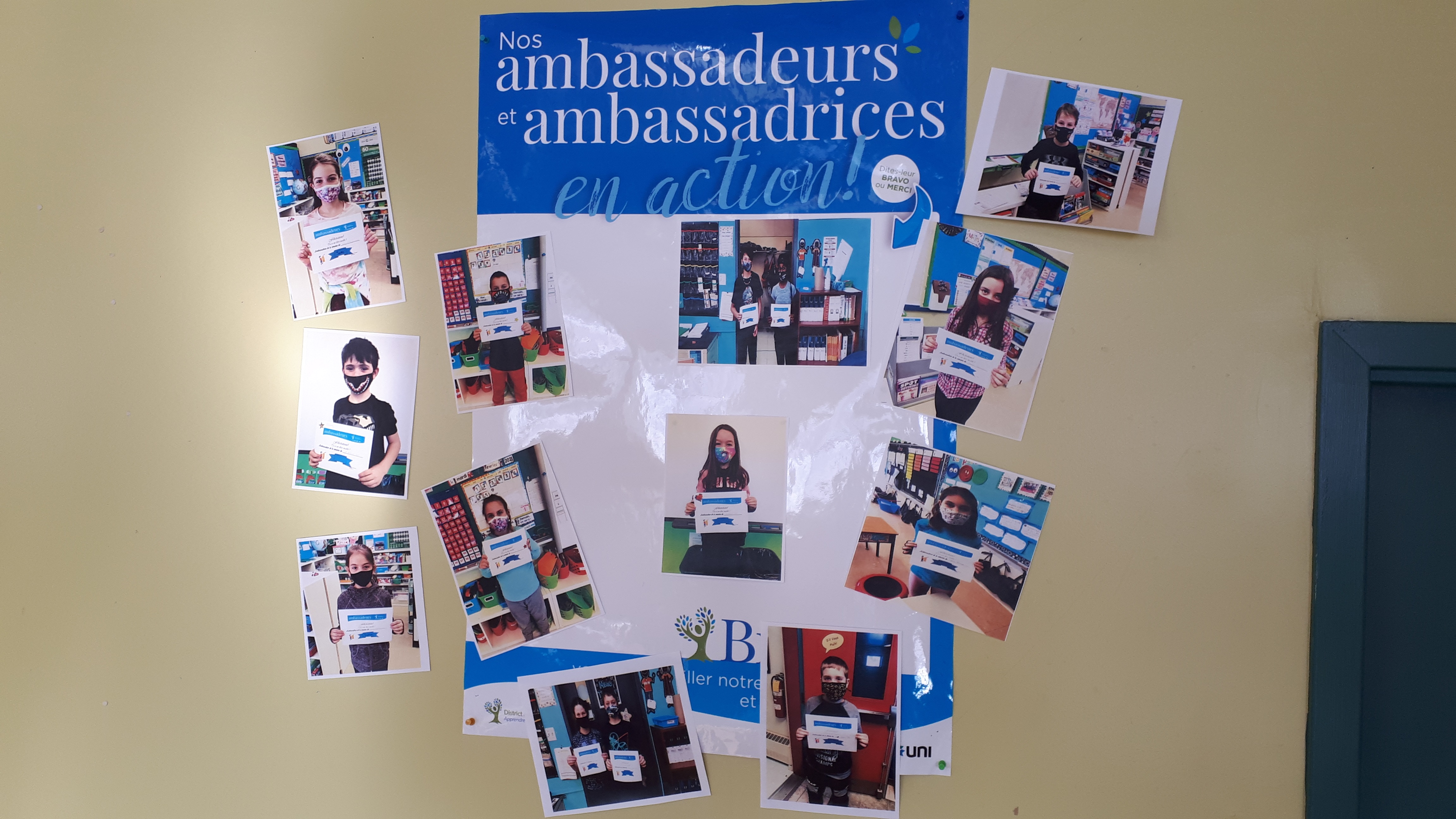 Ambassadeurs du mois de février