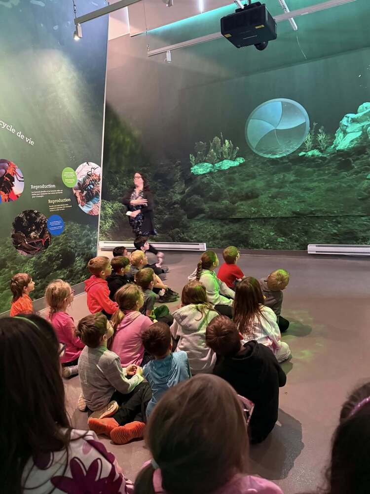 Sortie scolaire au Centre Homarus de Shediac